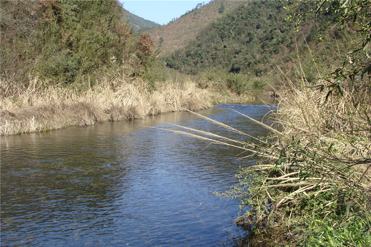 好山好水出好紙——涇縣宣紙廠生產水源烏溪河近景