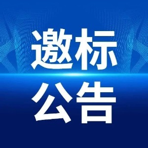 年產6000噸書畫用紙技術改造項目（一期工程）EPC跟蹤審計及結算審核項目招標邀請書